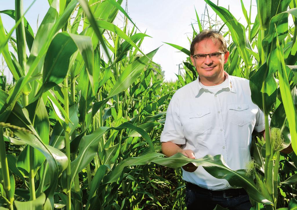 Láthatóan több siker: KWS kukorica vetőmag az Ön gazdaságának TARTALOMJEGYZÉK Tisztelt Partnerünk!