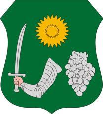 Önkormányzat