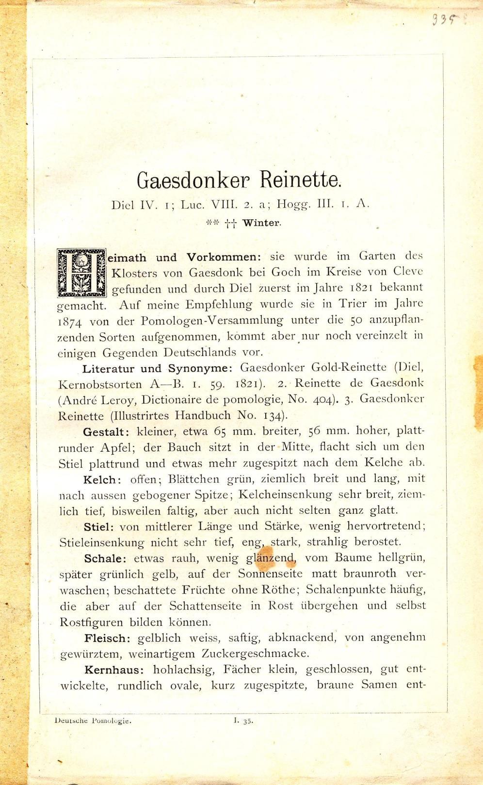 KÉPEK A Wiener Illustrirten Gartenzeitung mellékleteként megjelent reklám, a