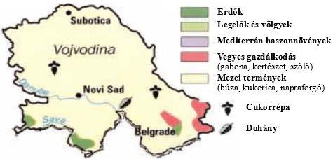 szerepe a gazdasági átalakulás során is megmaradt, a termelés, feldolgozás és értékesítés szerkezete azonban átrendeződött. 2. ábra Vajdaság mezőgazdasági térképe Forrás: http://www.lib.utexas.