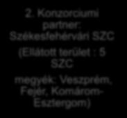 1. Konzorciumi partner: Győri Műszaki