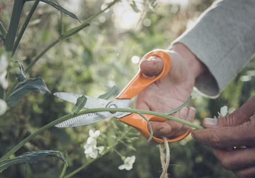 SZÉPSÉGÁPOLÁS Az Ön Fiskars partnere Fiskars