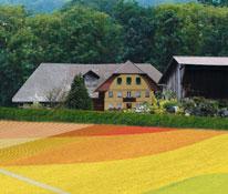 Az IT-Farming koncepció univerzális terminállá teszi
