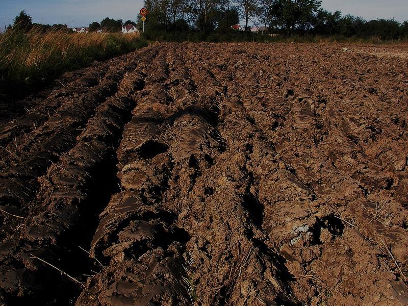 Túl sok nedvesség és levegőtlen viszonyok hatására képződött szerves anyag fekete humusz Nagy az agyag és a holtvíz tartalmuk Vízgazdálkodási szempontból: közepes/gyenge vízbefogadó képességű, jó