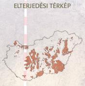 gyepszint alatt