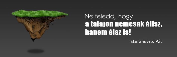 KÖSZÖNÖM A