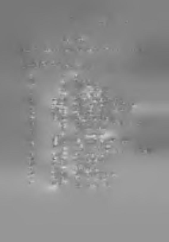 - 207 - l.sz.