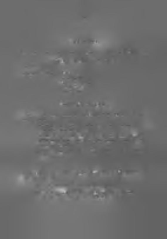 - /)23 - SZ E M É L Y I M IIE K Pál Léruird főigazgató fiz 1977. évi Intézeti Dij Bizottság elnökévé lí Ó S A S O M O G Y I Is tván t nevezte ki.