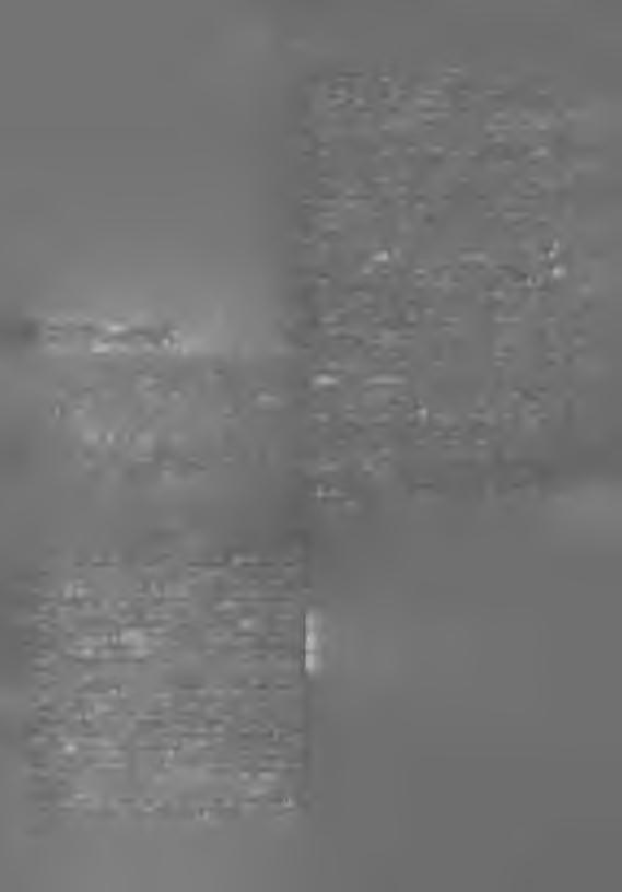 - h93 - M iniszteri Vendeletek A p c H x iig jiiiíiiis z trr í * n k ü lk p r r ^ lk r iic lh ii m in is z t e r :ií>/if>7(*. <\I. 10.) EMI-Eik 11számú.együtt.