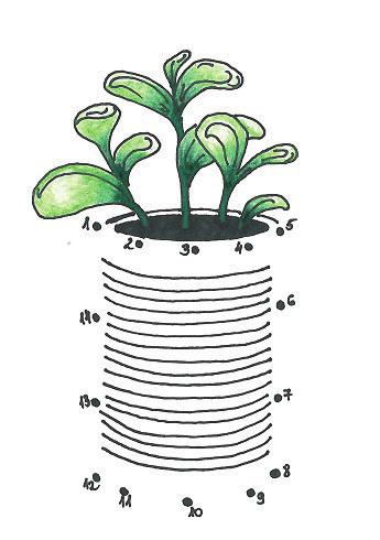9. Sorolj föl legalább 4 olyan hulladékot, amelyet egy növény átültetéséhez tudnál újrahasználni! 10.
