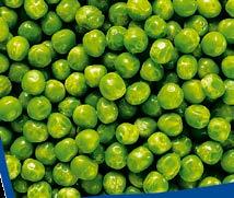 20-25 kg Karfiol I. o.