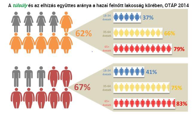 FESZ kongresszus - Visegrád 5 Ügyfél súly terhelés 1988-ban hazánkban a felnőtteknek csak 16%-a volt elhízott,