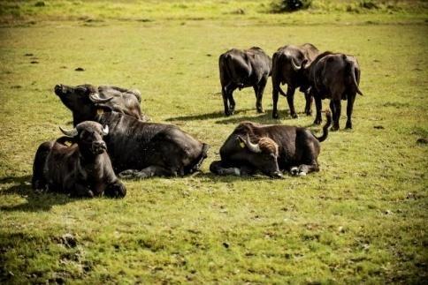 eu/okofarm A 2 nyertes árverező cégvezető, megszerzett