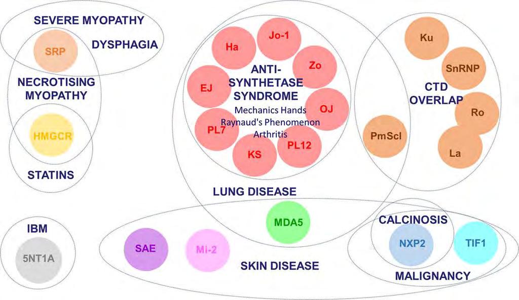 Myositis antitestek klinikai asszociációja Z