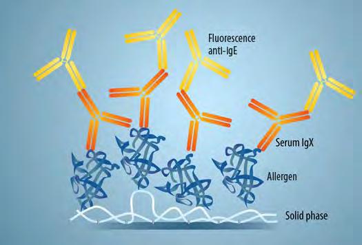 sige meghatározása: Legelterjedtebb módszerek: enzim- vagy fluoreszcens immunoassay (ELISA, FEIA).
