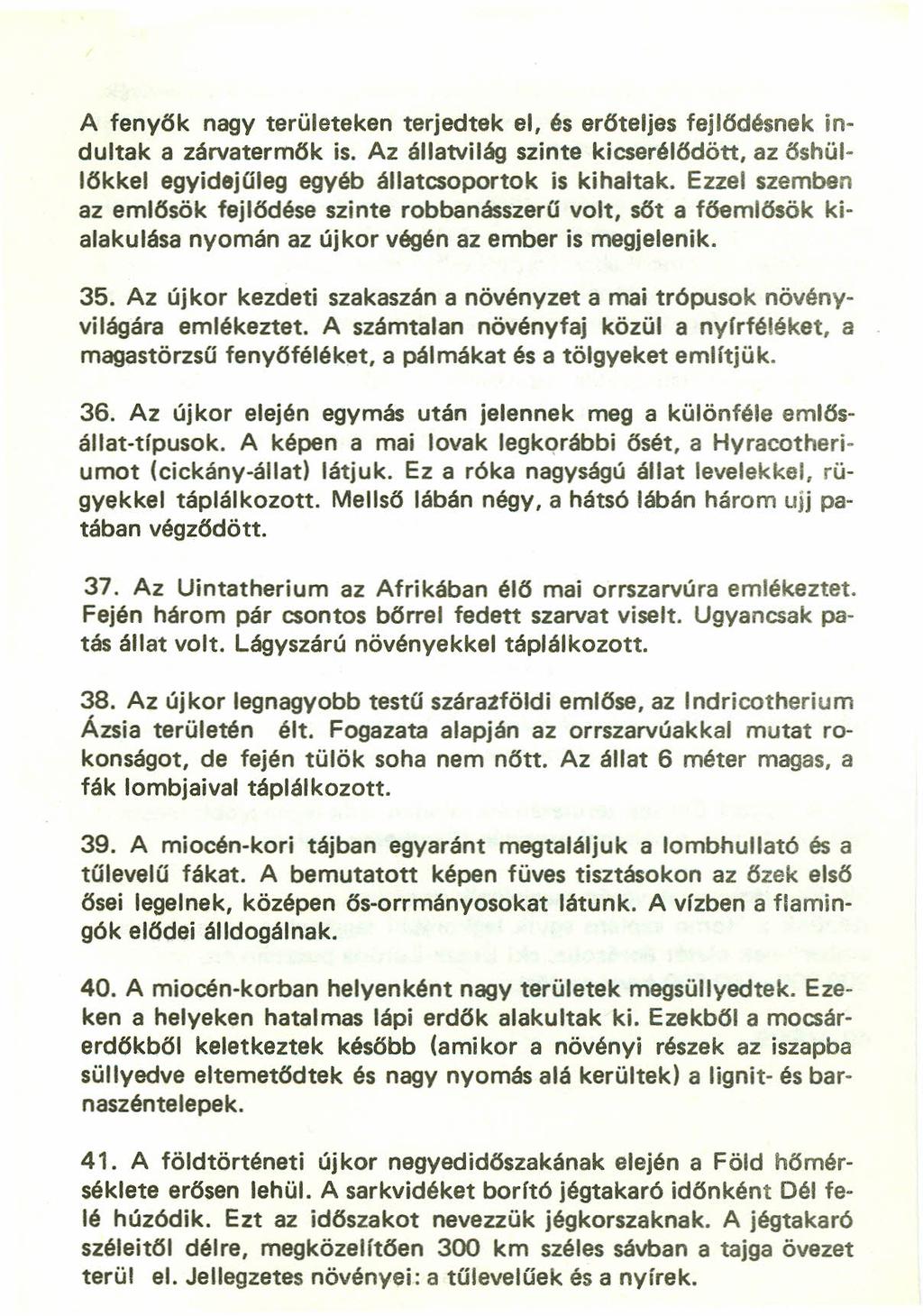 A fenyők nagy területeken terjedtek el, és erőteljes fejlődésnek indultak a zárvatermők is. Az állatvilág szinte kicserélődött, az őshüllőkkel egyidejűleg egyéb állatcsoportok is kihaltak.