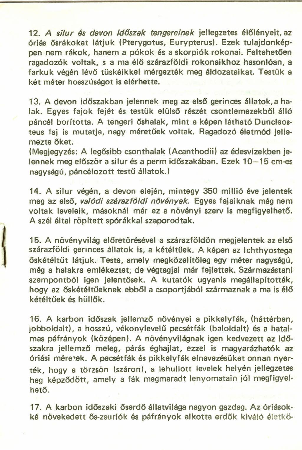 12. A silur és devon id6szak tengereinek jellegzetes élőlényeit, az óriás ősrákokat látjuk (Pterygotus, Eurypterus). Ezek tulajdonképpen nem rákok, hanem a pókok és a skorpiók rokonai.