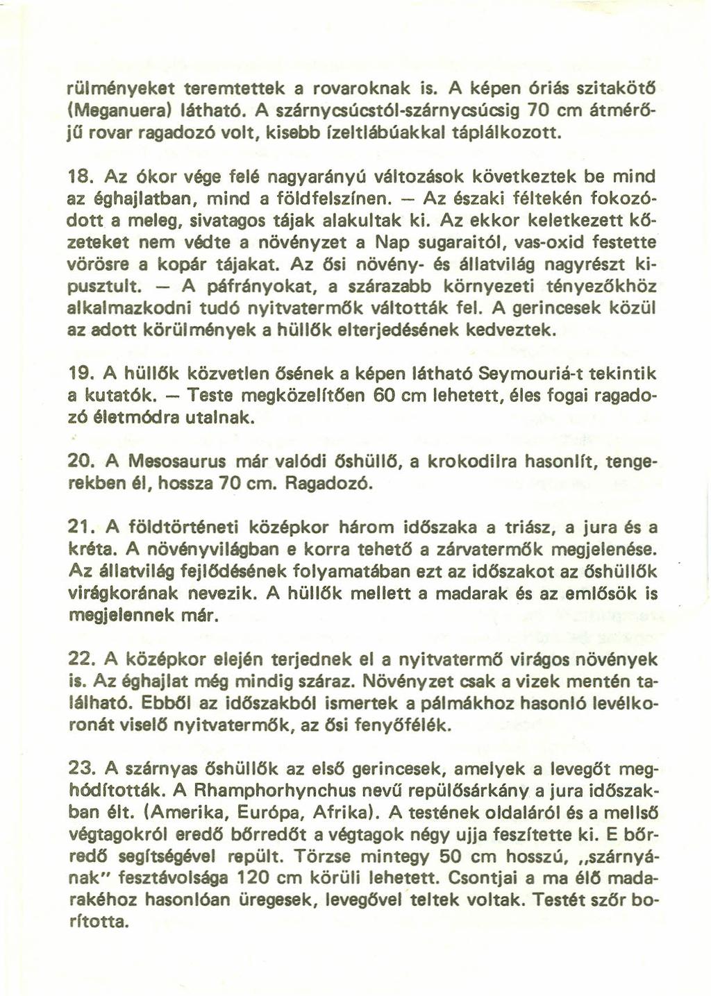 rülményeket teremtettek a rovaroknak is. A képen óriás szitakötls (Meganuera) látható. A szárnycsúcstól-szárnycsúcsig 70 cm átméröjű rovar ragadozó volt, kisebb fzeltlábúakkal táplálkozott. 18.