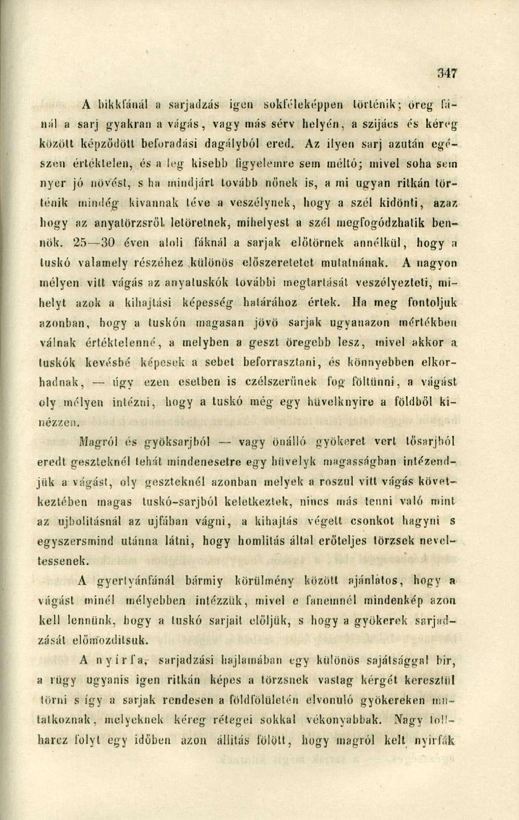A bikkfánál ÍI sarjadzás igen sokféleképpen történik; öreg fánál a sarj gyakran a vágás, vagy más sérv helyén, a szijács és kéreg között képződött beforadási dagályból ered.