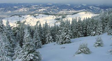 Legmagasabb hegysége a Fogarasi-havasok, ahol legmagasabb csúcsa (2543 m) található. A zord hegyoldalak, a magas sziklacsúcsok vonzzák a bátor hegymászókat.