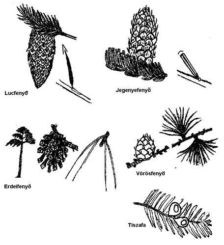 3. Ezután mosd meg a felsőtestedet és a combodat. 4. Utána jön a hajmosás samponnal. 5. Végül pedig az alsó végtagok és a feneked (ehhez guggolj le). 6. A végén mosod meg a lábadat és lábszáradat.
