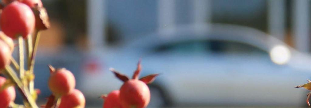 Inhalt Környezetvédelmi Nyilatkozat 2 Umwelterklärung Vorwort 34 Zusammenfassung 36 Die Umwelterklärung 38 1.