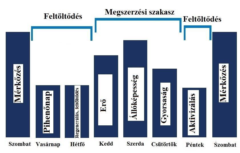Ez kialakított egy állandó heti ciklust a mérkőzésekhez igazítva a terheléseket, és a feltöltődési időket. Ezen belül is megkülönböztet 3 időszakot a fizikális összetevők figyelembe vételével.