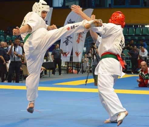 A viadal több, mint 28 ország legjobb harcosainak részvételével zajlott, ahol az Yakuzák Se három versenyzőt delegált junior korosztályban.
