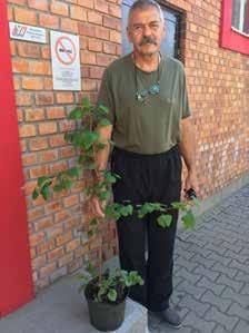 egyesületi élet Fa csemetéket kaptunk Bodor Viktortól négy csemete fát kaptunk, melyeket az Y Ház előkertjébe ültettek el a gyerekek.