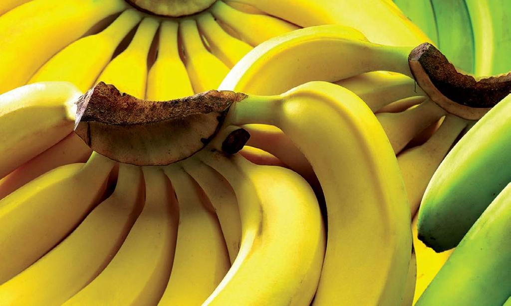 Recept Banán mousse A banán egy különleges fehérjét tartalmaz, ami segíthet megelőzni az onkológiai eredetű betegségeket.