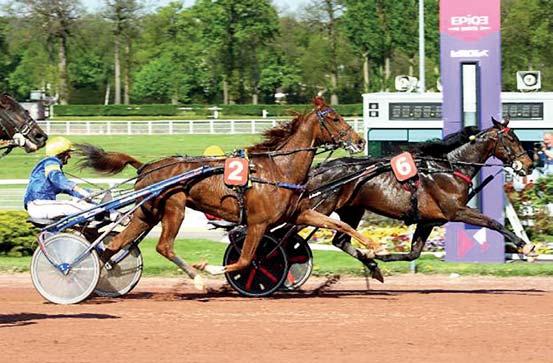 GET 10 Zselnice 1900 m Veres László (4,0-0) (Zöld-fekete) 3 pk Miguel Duhamel - Jávorfa / Valley Guardian Veres László Istálló: Diadora III. i. 30.2 2018.04.14 10/13 27.