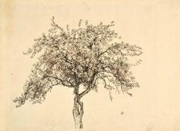 téli kiállítás 348. sz. (eladó) kiállítva: Fiume 1893/94 75. Dr.
