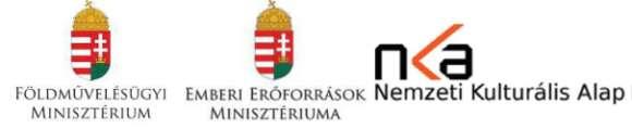 és Németh Ildikó, Kovács Norbert és Gaschler Beáta, Berecz István, Juhász Erika és Tanítványai.