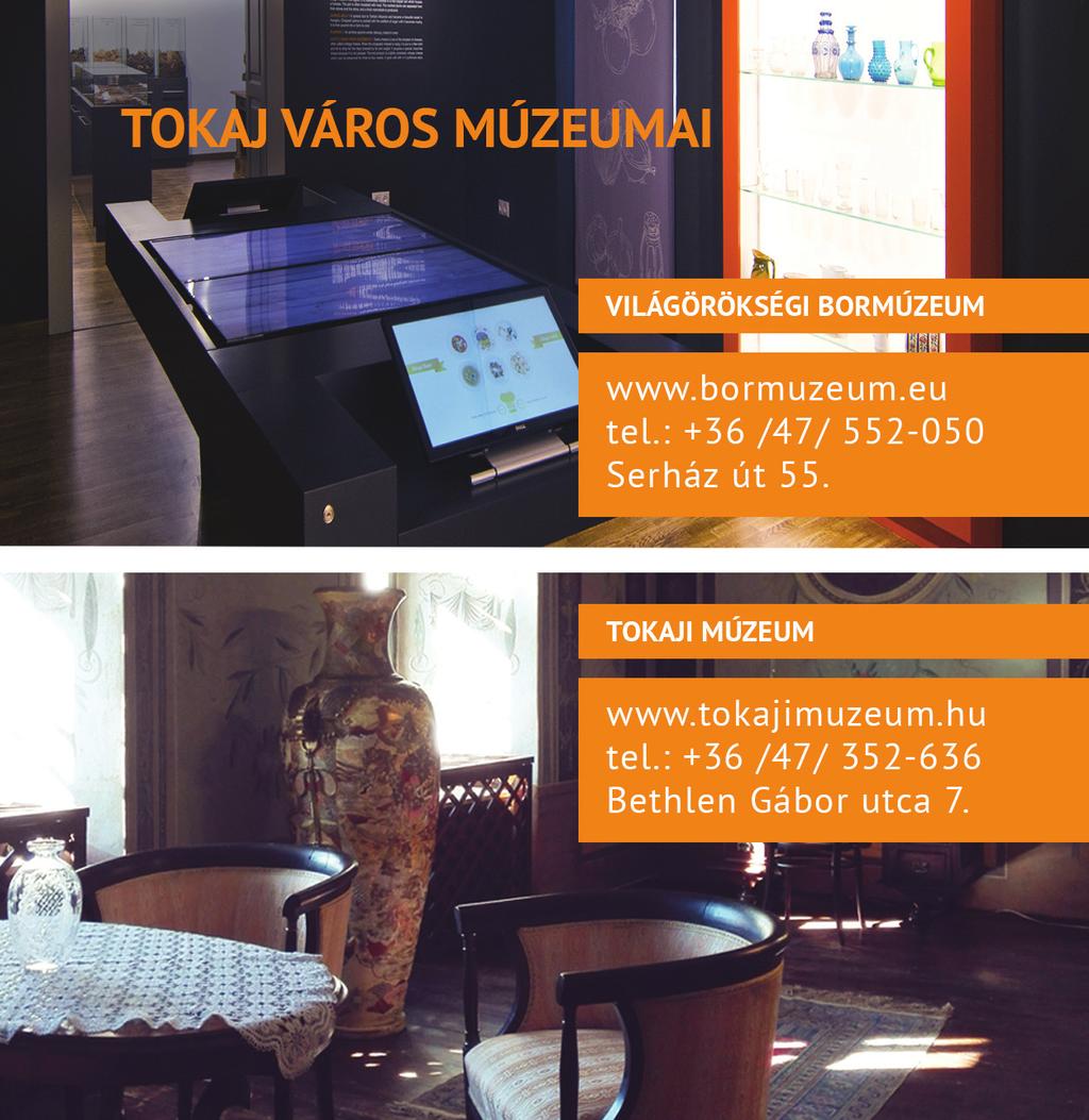 A sorozat újdonsága Lindner András: Mûvészportrék Vallomások Az 1996-ban alapított Gramofon Klasszikus és Jazz címû folyóirat archívumából tizenhat mûvész-interjút bocsát most közre a szerzô és a