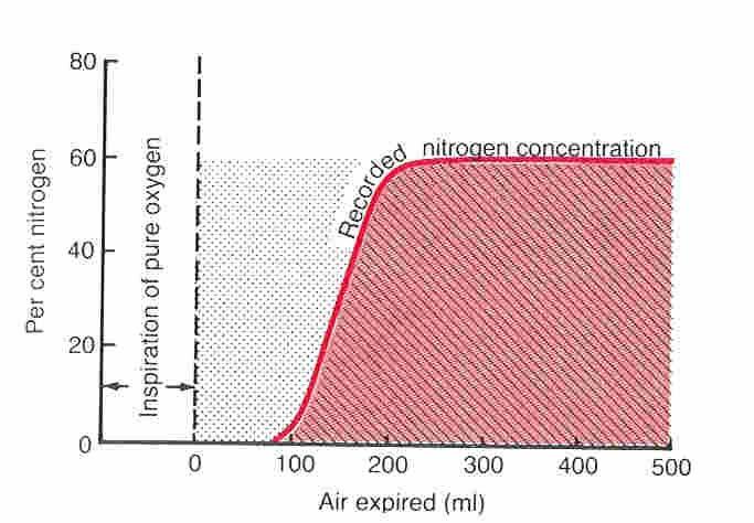 Alveoláris légzés, holtterek V T = V A + V D