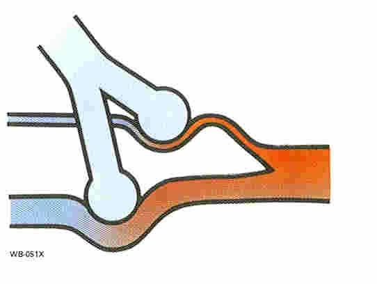 alveolaris gázcsere = légmozgás + diff