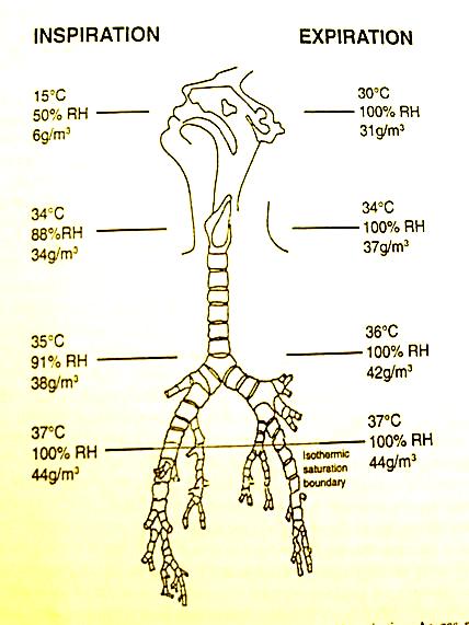 - 25g/m 3 = 0,0125g/V T =11,25g/óra =270g/die + 38g/m 3 = 0,019g/V
