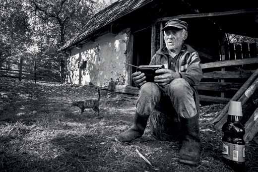 .. oklevél - toldi zoran