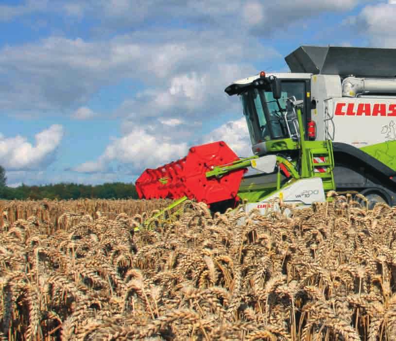 BEMUTATÓ LEXION