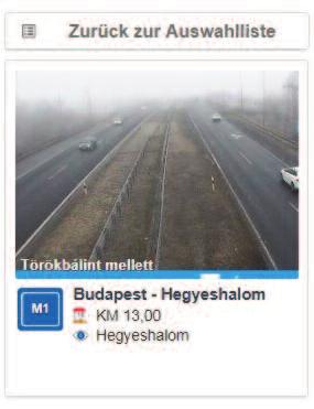 Diószeghy arietta Felelős kiadó: dr.