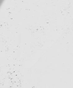 0-16-260 22 mm X 6 3253560162603 0-16-261 25 mm X