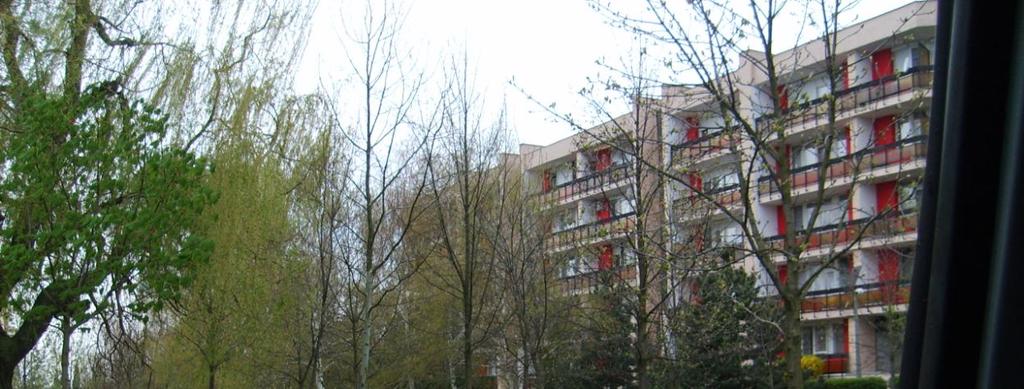 Másod osztályú parkok Ezeknél a területeknél nem kell összegyűjteni a