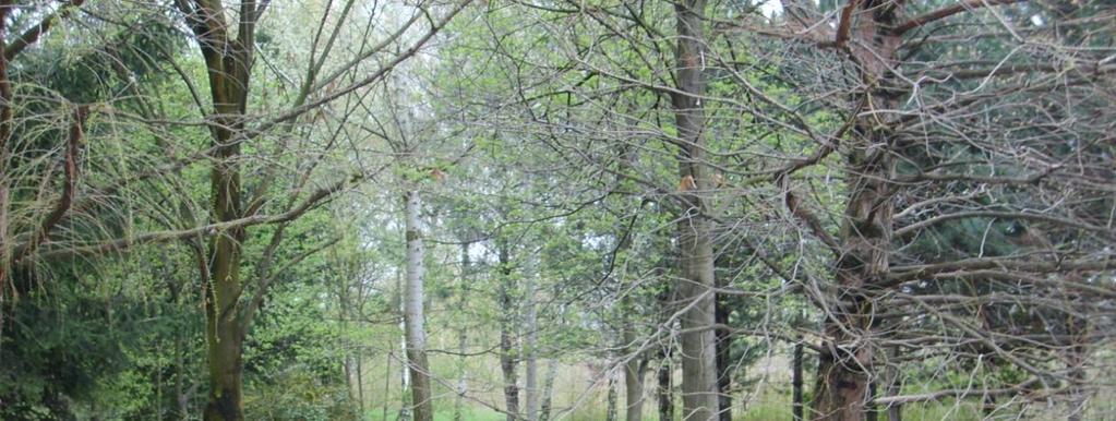 szegély Kápolnáig Harmat park Harmad osztályú területek Az átlag fűmagasság 30