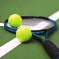 Dorog és környéke Dorog and its Environs / Dorog und seine Umgebung SZABADIDO LEISURE / FREIZEIT FÜRDOZÉS, WELLNESS WATER EXPERIENCE, WELLNESS WASSERERLEBNIS, WELLNESS -15% Városi Teniszpálya (Tennis