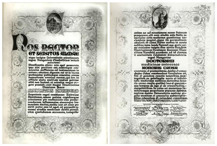 Richter Aladár budapesti iparművész grafikust kérték fel, aki a szövegtükrök körül futó díszítés tetején, kis keretben megfestette az egyetem központi épületét és a polgármesteri hivatal épületét. 3.