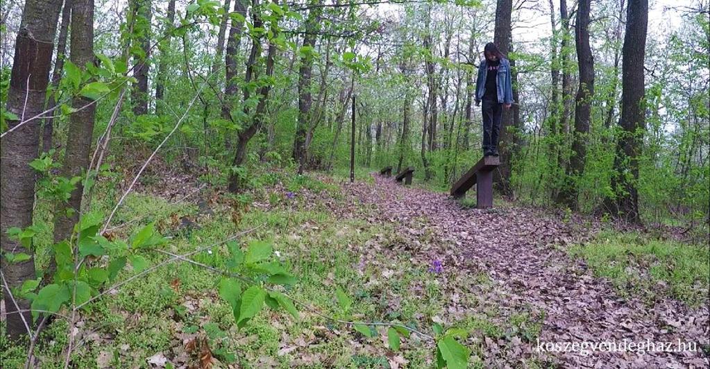 az út vezet minket 6km-en keresztül, ahol egy kereszteződéshez érünk. Balra Velembe juthatunk el, nekünk viszont jobbra kell menni, hiszen arra lesz az Írott-kő.