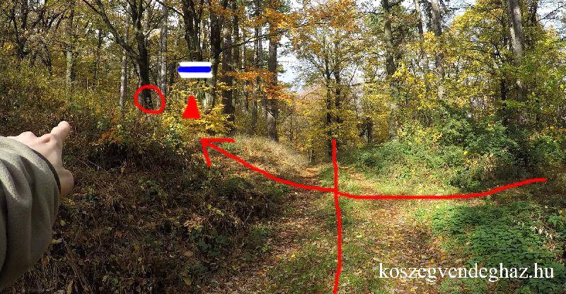 Lékai vár Az Andalgó Hold Vendégház előtti parkolóból jobbra kell elindulnunk, ha a várhoz készülünk.