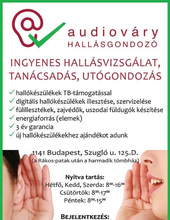 motordiagnosztika+hibakódkiolvasás