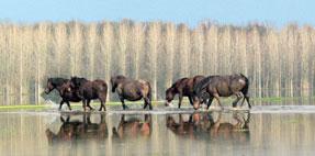 Pliš), sportmászóhely (Sokoline), off-road (Karanac/Baranja, Pustara Višnjica),