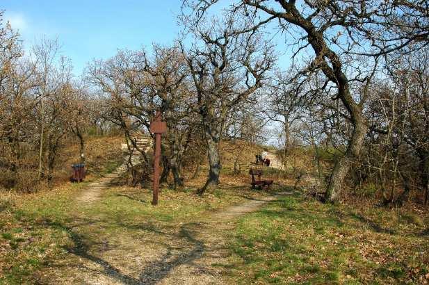 Gellért-hegy déli lejtőjén található Budai Arborétum (Villányi út 29-91., 35-43. és a Ménesi út 43-45.